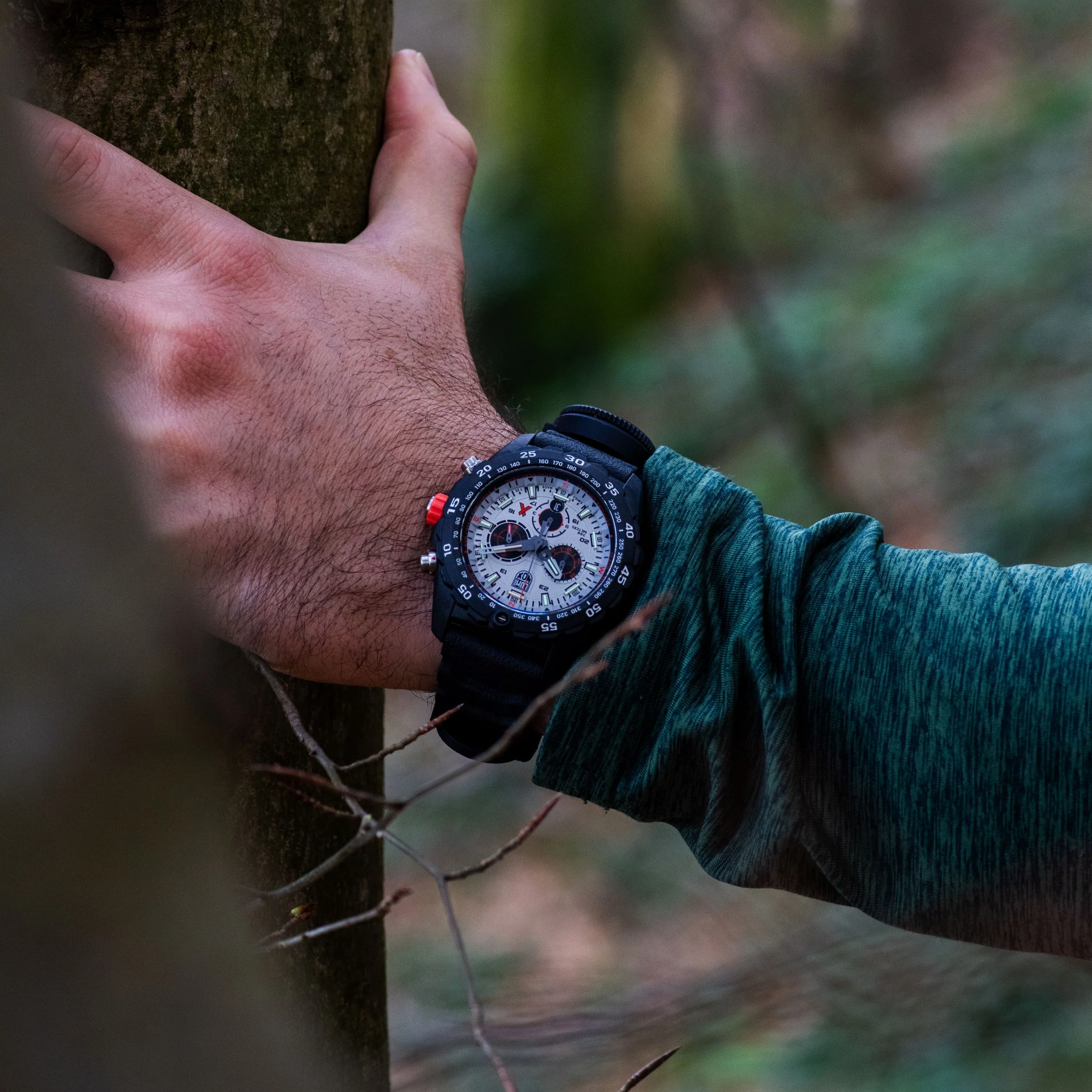 Bear Grylls SURVIVAL, 45MM - 3748 - Image 3