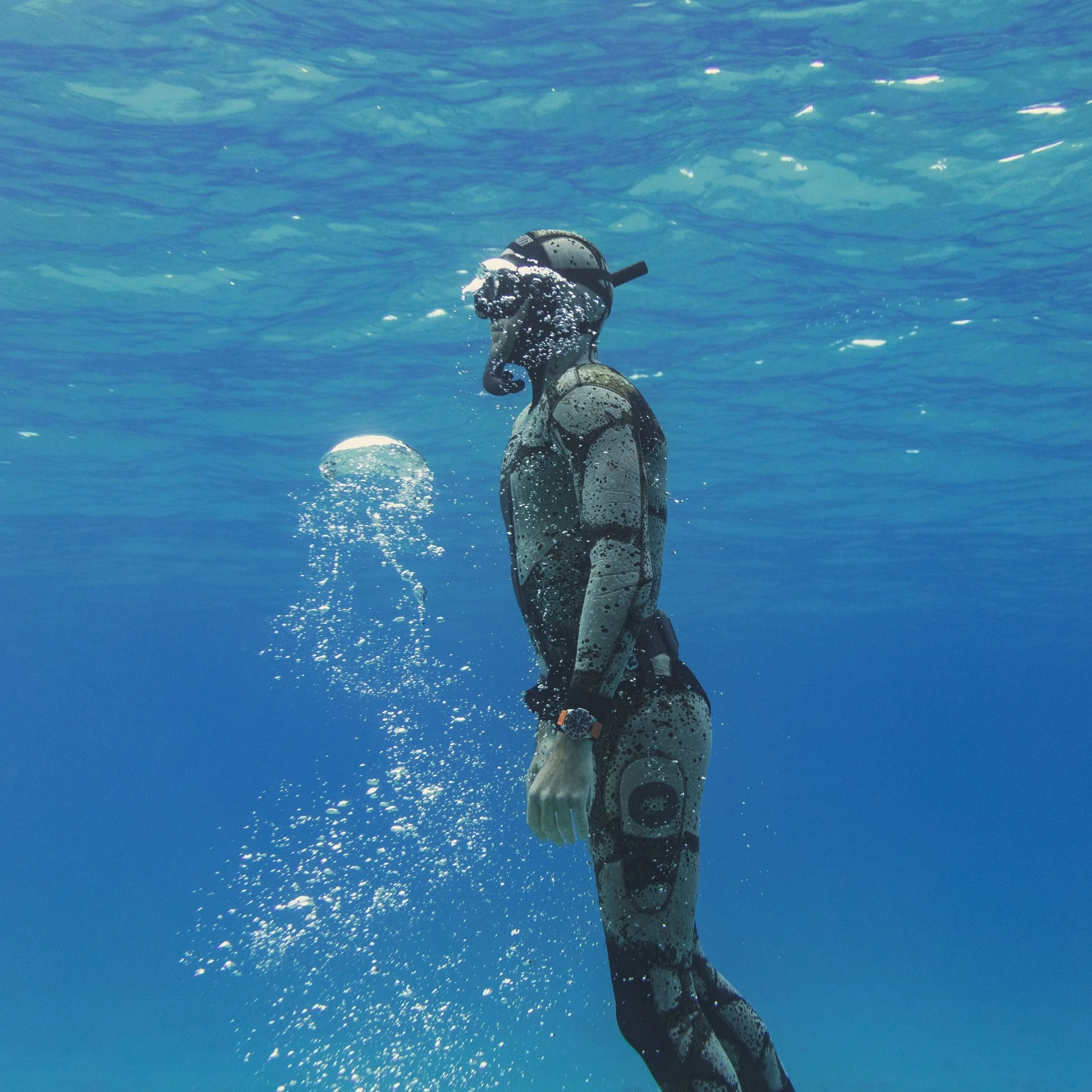 Pacific Diver Chronograph, 44MM - 3149.SET - Image 6